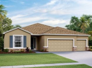 10438 Riverdale Rise Dr, Riverview, FL 33578