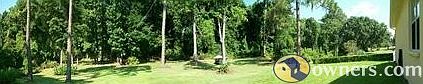 Back yard Weeki Wachee forest