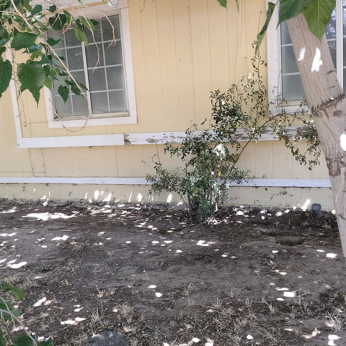 3 bed, 1400 sqft, $2,400 — Photo 4