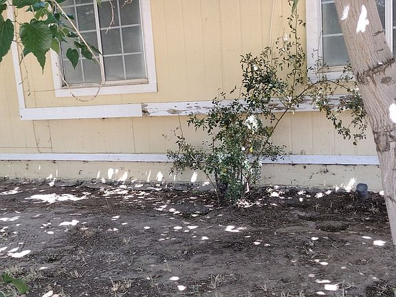 4th image of 40584 172nd St E