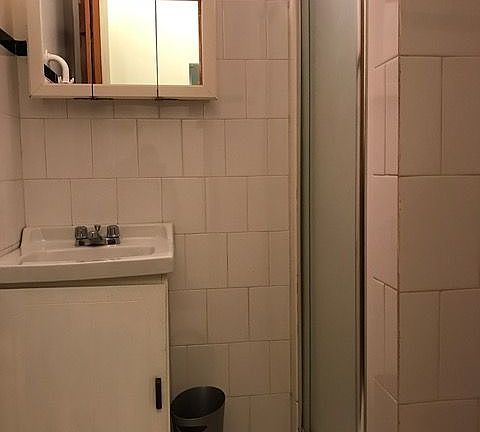 5th image of 212 Driggs Ave APT 1L