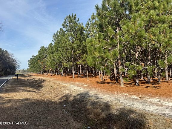 2nd image of 0 Butler Mill Rd Tract 2