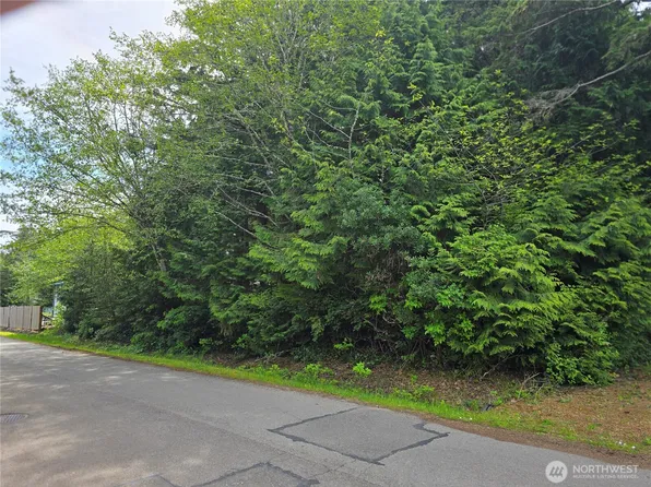 0 xxx Paradise Lane, Pacific Beach, WA 98571