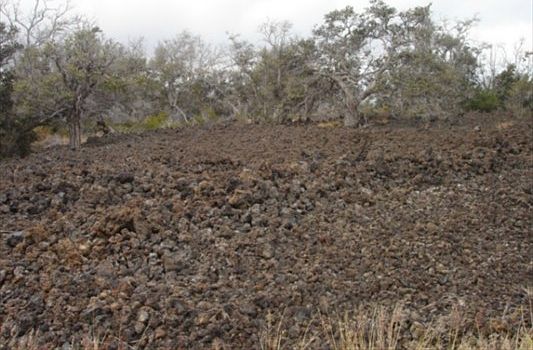 2nd image of Princess Kaiulani Blvd Lot 8