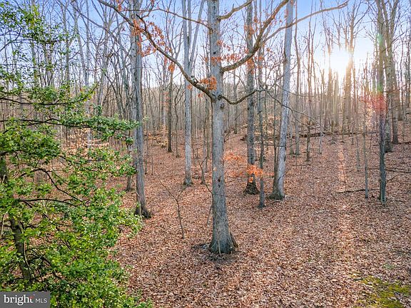 4th image of 12333 Mummert Rd