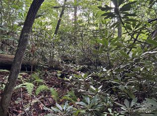 Tbs Salisbury St, Fontana Dam, NC 28733