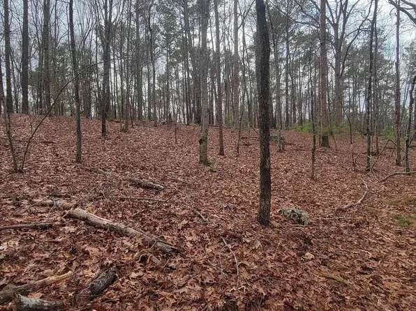 2458 Chapin Rd #6 & 7, Chapin, SC 29036