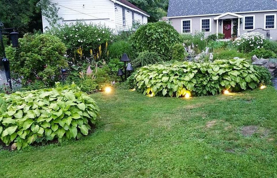 FRONT YARD (LEFT)
