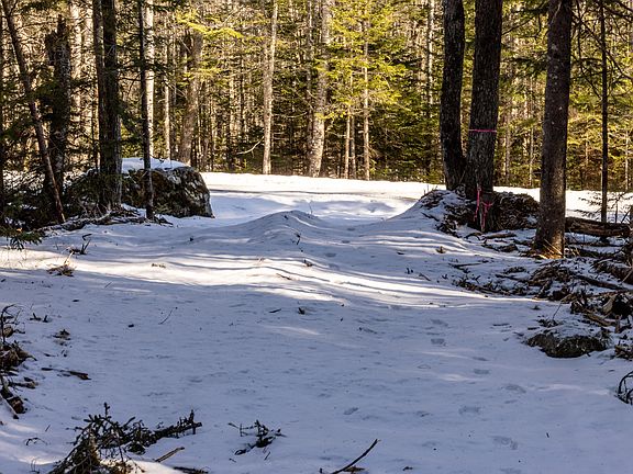 2nd image of 10-4M Forest Hill