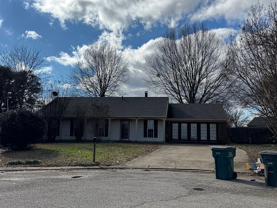 113 Sweetgum Cv