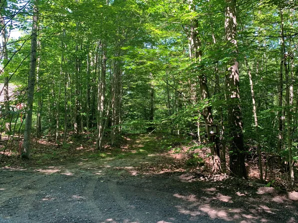 LOT 6 W Woodridge Dr, Mears, MI 49436