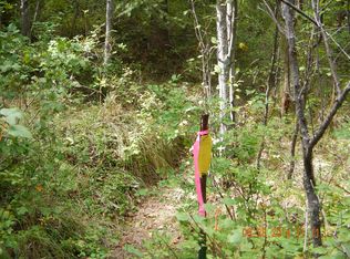 20 Acres On Giveout Creek Rd., Wauconda, WA 98859