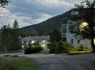 31 Beech Lodge Ct #23, Davis, WV 26260