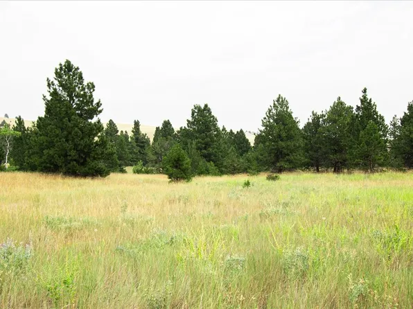 6675 Saint Louis Gulch Dr, Helena, MT 59602