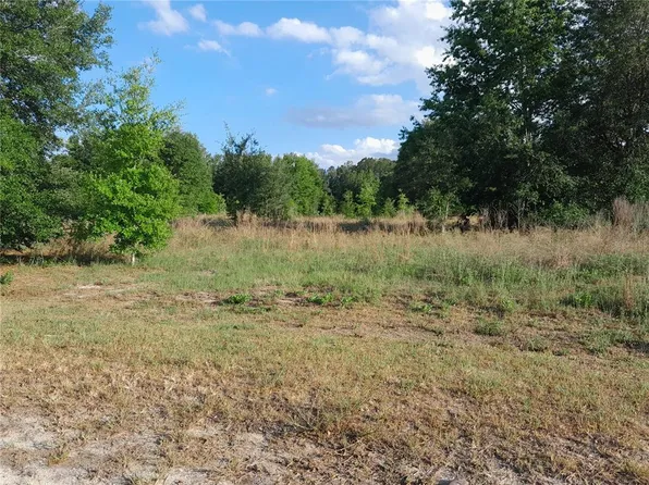 21930 SE 60th Ln Lot 3, Morriston, FL 32668