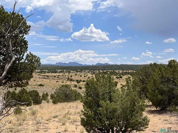 Ponderosa Dr, Pie Town, NM 87827