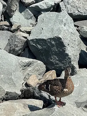 Other photos, photo 17