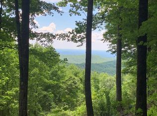 9 Blackbear Ln, Sapphire, NC 28774