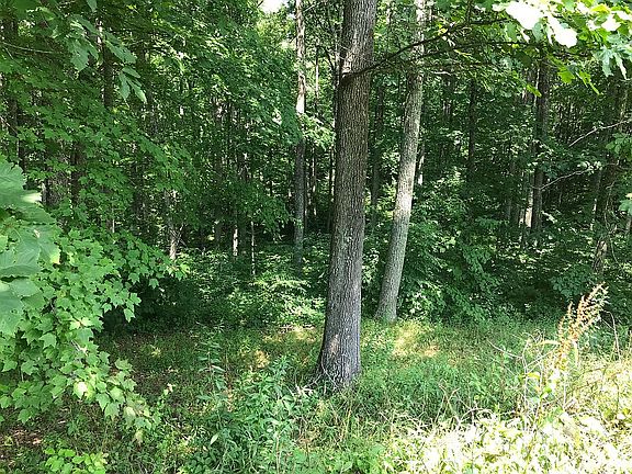 2 acres left side of house