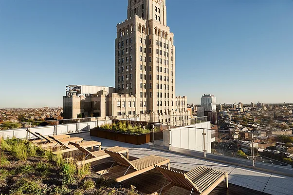 Rented by Two Trees | media 32