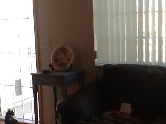 4th image of 3462 Mineral Park Dr