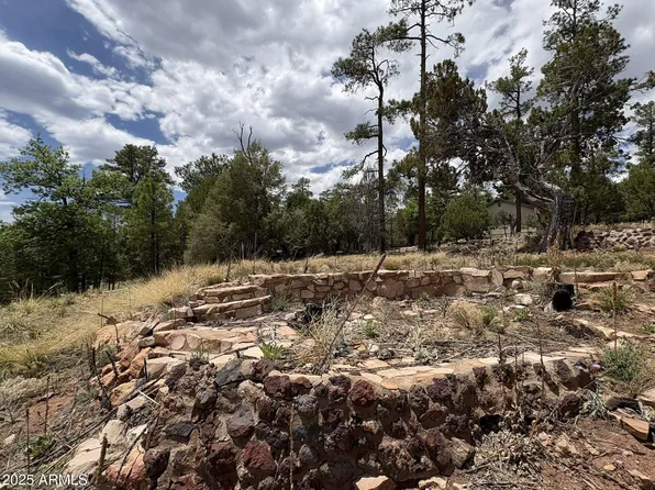 1259 DOUGLAS FIR Way #85, Happy Jack, AZ 86024