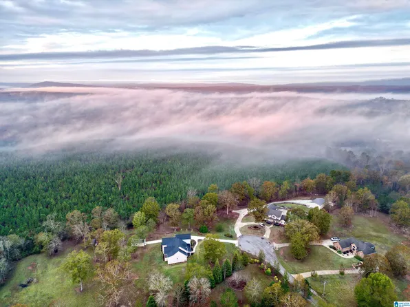 150 Tumbleweed Ln, Cropwell, AL 35054