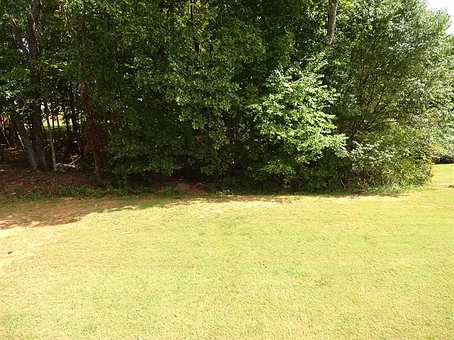 3222 Thornecreek Dr — Photo 18