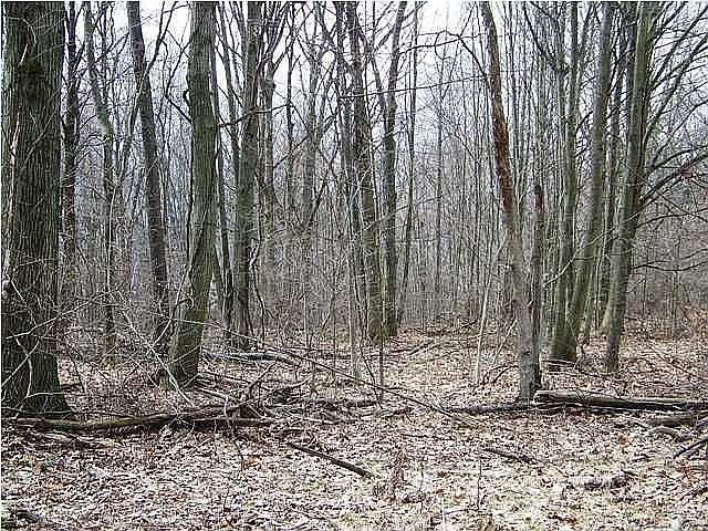 2nd image of 4318 Woodside Meadow Ct #10