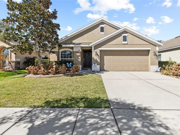 6641 Boulder Run Loop, Wesley Chapel, FL 33545