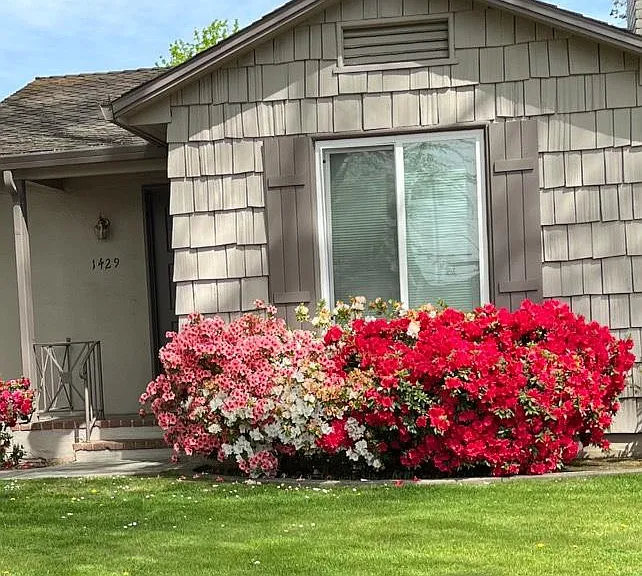 Front of Duplex