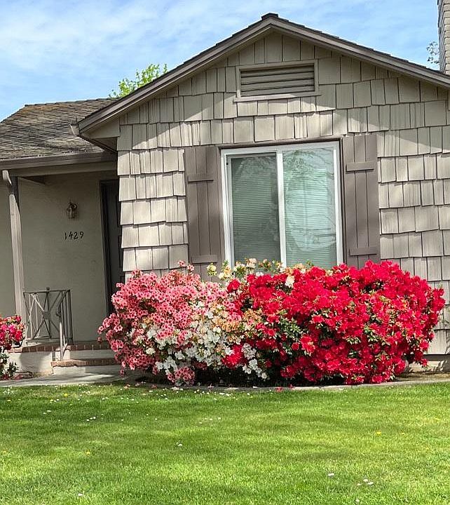 Front of Duplex