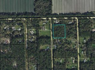 1041 Honeytree St, Bunnell, FL 32110
