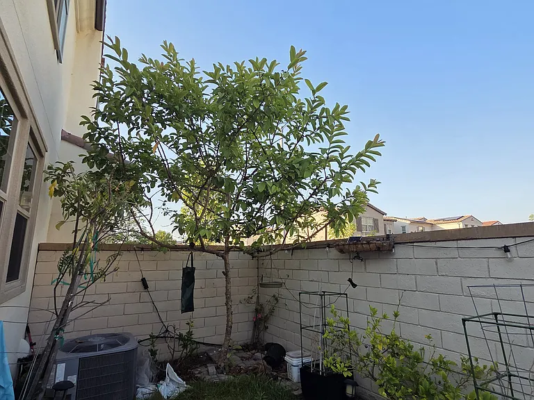 723 Merit Dr — Photo 22