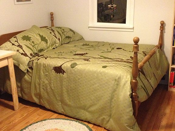 2nd downstairs bedroom 