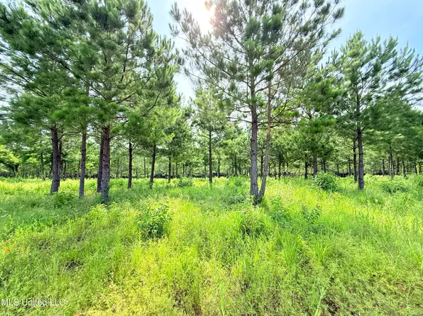Stout Farms Dr Lot 67, Madison, MS 39110
