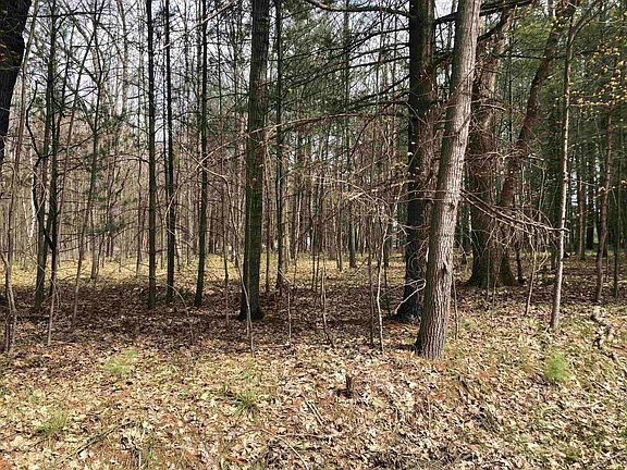 2nd image of W Eight Point Lake Rd