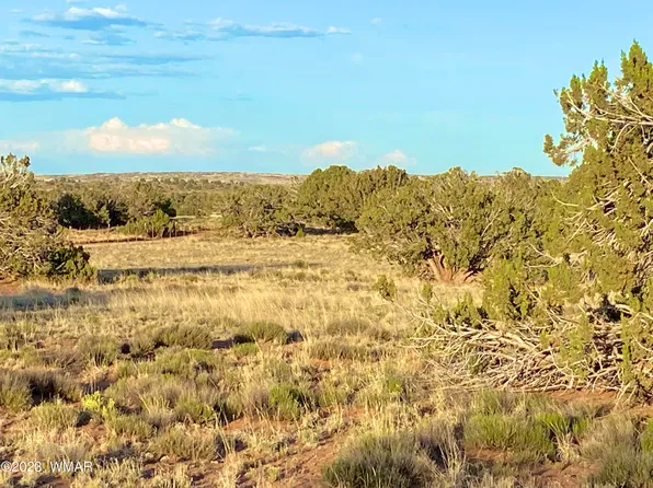 63 5407th, Concho, AZ 85924