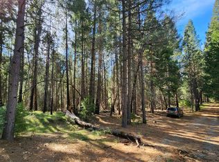 5303 Old Mine Rd, Grizzly Flats, CA 95636