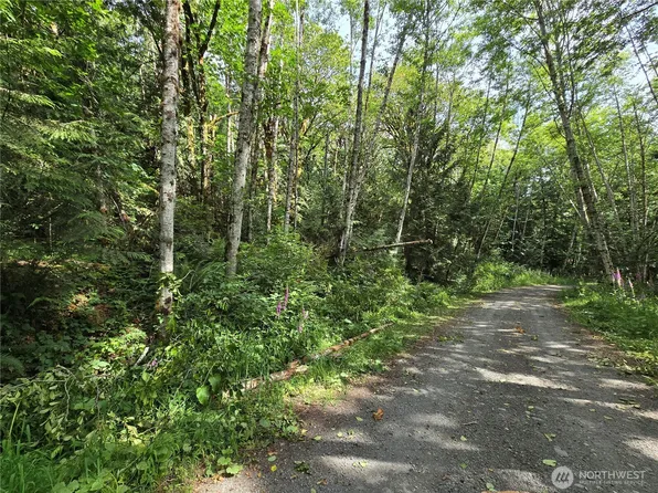 0 XXX Triton Heights Road, Lilliwaup, WA 98555
