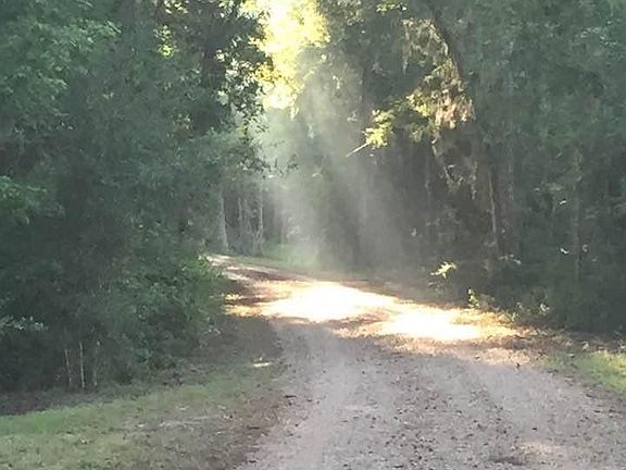 3rd image of 77 Raccoon Ramble