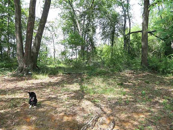 3rd image of 20955 County Road 4129