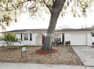 916 Kirkcaldy Way, Valrico, FL 33594