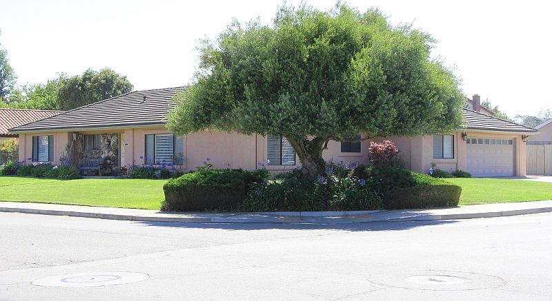 1st image of 1094 Clubhouse Dr