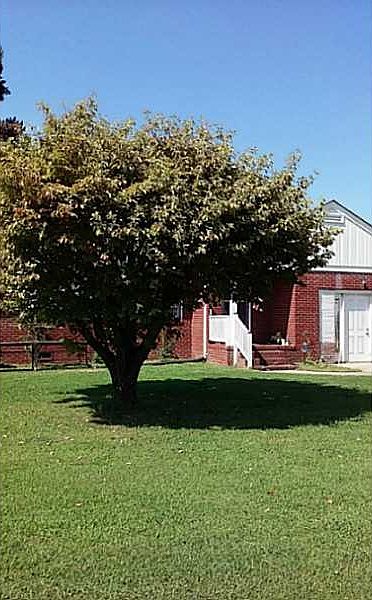 1st image of 4011 Catesby Jones Dr