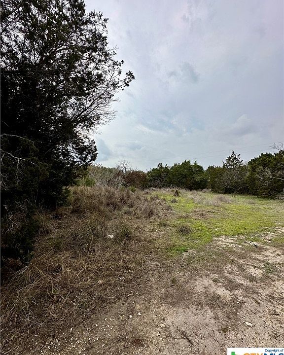 2nd image of 235 Canyon Springs Dr