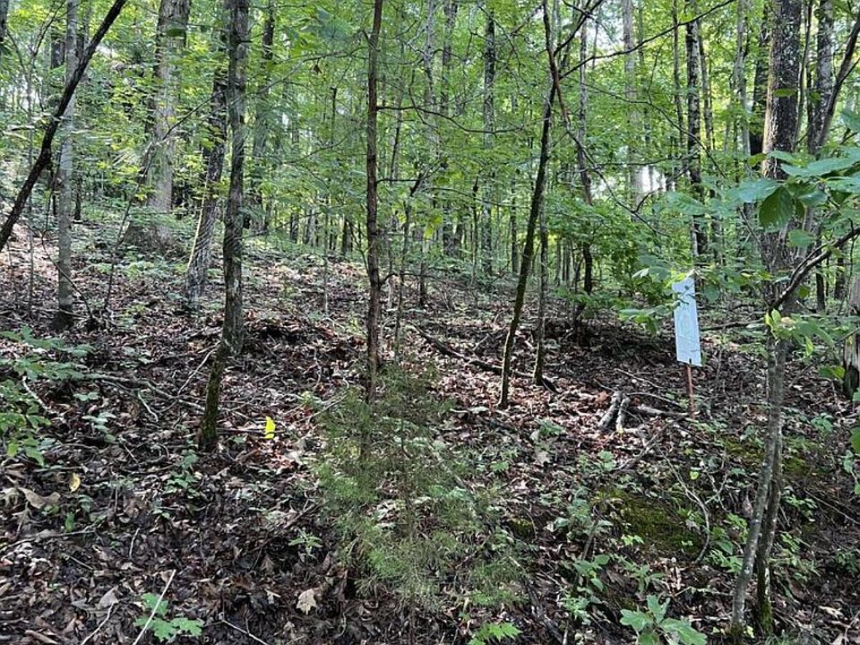 2nd image of 167 Laurel Lake Cir