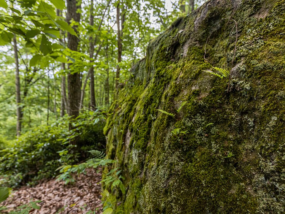 1st image of 0 Bridal Veil #9
