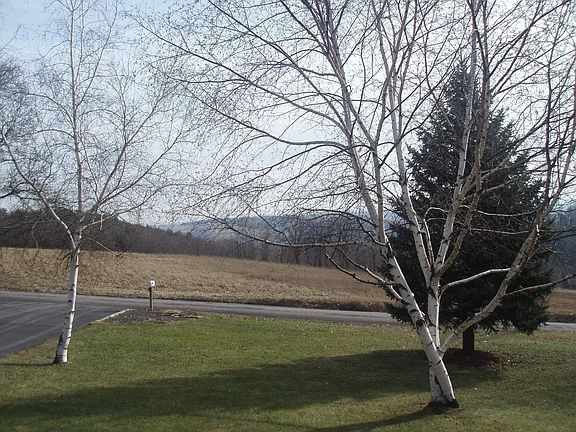 view from front porch