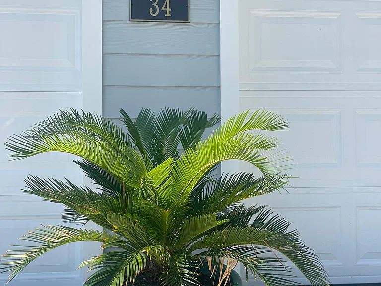 34 Millers Branch Dr — Photo 24